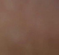 a close up of a brown bird flying in the sky