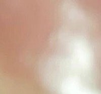 a picture of a cat with a pink background