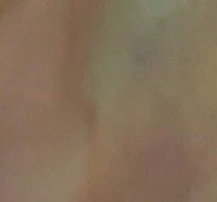 a close up of a bird flying in the air